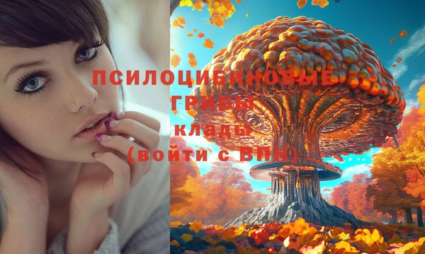 меф Аркадак